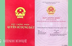 Sổ Kị Tẩy Là Gì